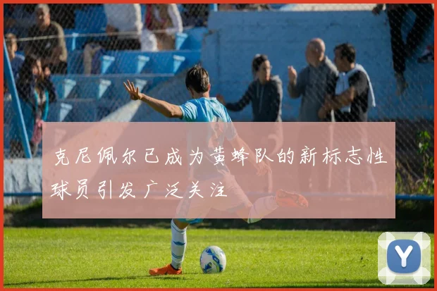 克尼佩尔已成为黄蜂队的新标志性球员引发广泛关注