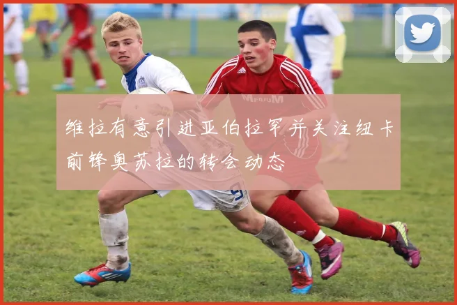 维拉有意引进亚伯拉罕并关注纽卡前锋奥苏拉的转会动态